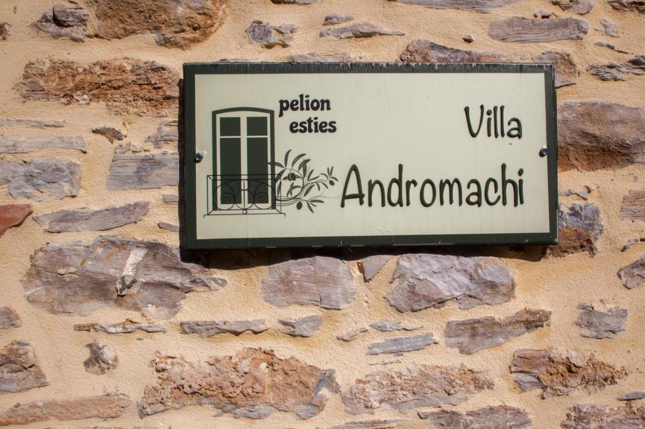 Villa Andromachi By Pelion Esties Ano Gatzea 외부 사진